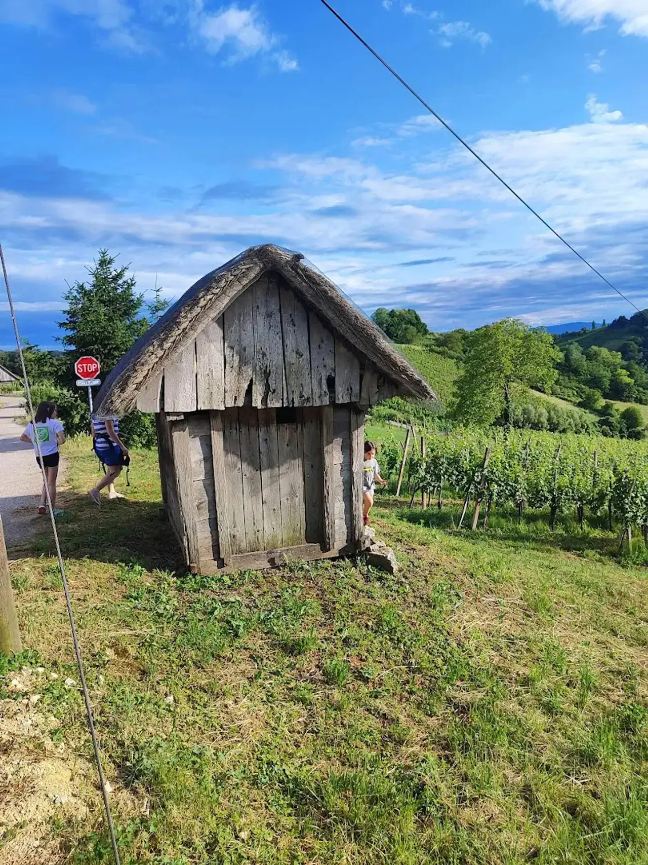The Little Wine Cellar on Bošt – the Smallest in Slovenia